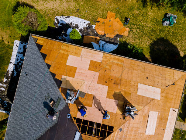 Best Roof Leak Repair  in Halstead, KS