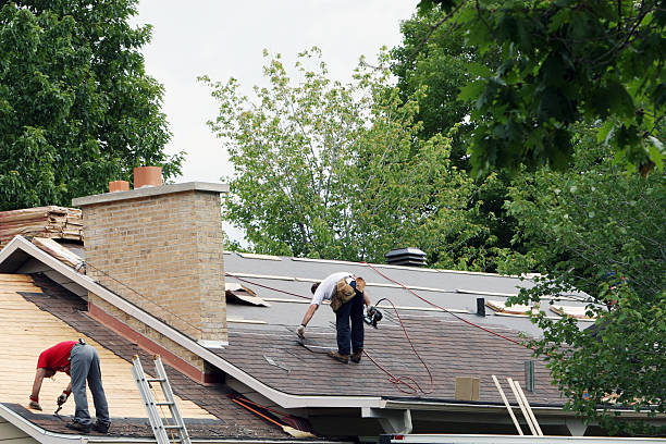 Best Shingle Roofing Installation  in Halstead, KS