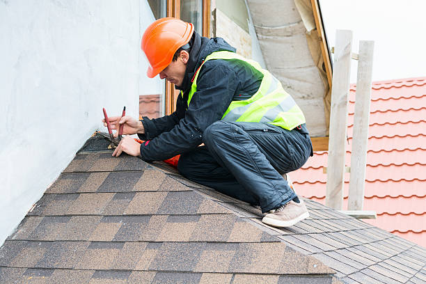 Best Metal Roofing Contractor  in Halstead, KS